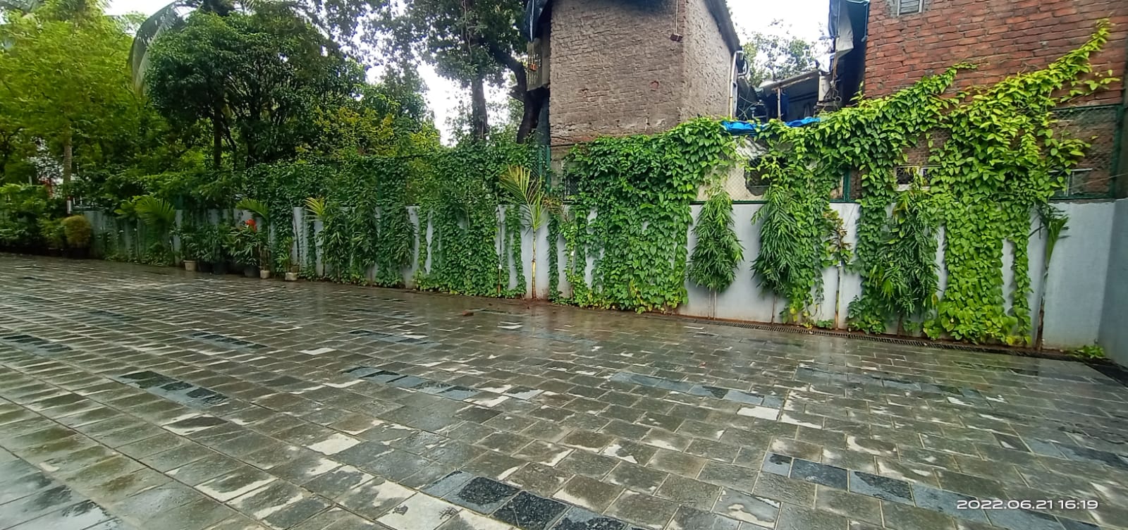 WhatsApp Image 2022-06-21 at 6.54.23 PM